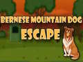 Παιχνίδι Bernese Mountain Dog Escape
