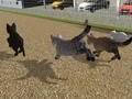 Παιχνίδι Run Cat Cat Race