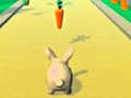 Παιχνίδι Rabbit Runner