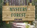 Παιχνίδι Mystery Forest