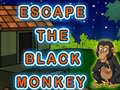 Παιχνίδι Escape The Black Monkey