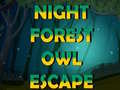 Παιχνίδι Night Forest Owl Escape