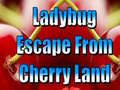 Παιχνίδι Ladybug Escape From Cherry Land