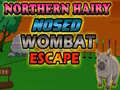 Παιχνίδι Northern hairy nosed wombat Escape