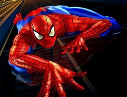 Παζλ Spider Man .