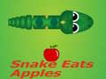 Παιχνίδι Snake Eats Apple