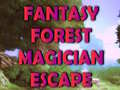 Παιχνίδι Fantasy Forest Magician Escape