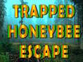 Παιχνίδι Trapped Honeybee Escape