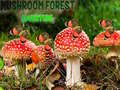 Παιχνίδι Mushroom Forest Adventure