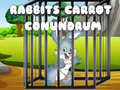 Παιχνίδι Rabbits Carrot Conundrum