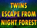 Παιχνίδι Twins Escape From Night Forest