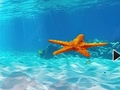 Παιχνίδι Escape From Underwater Starfish