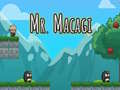 Παιχνίδι Mr Macagi
