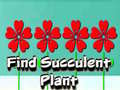 Παιχνίδι Find Succulent Plant