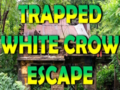 Παιχνίδι Trapped White Crow Escape