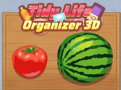 Παιχνίδι Tidy Life Organizer 3D