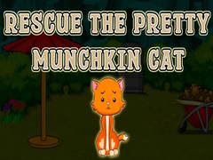 Παιχνίδι Rescue The Pretty Munchkin Cat