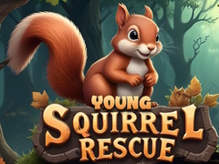 Παιχνίδι Young Squirrel Rescue