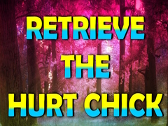 Παιχνίδι Retrieve The Hurt Chick