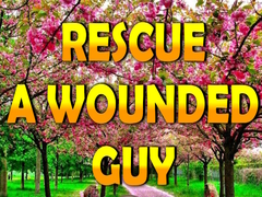 Παιχνίδι Rescue A Wounded Guy