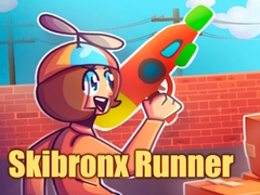 Παιχνίδι Skibronx Runner