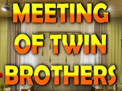 Παιχνίδι Wow Meeting of Twin Brothers