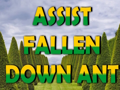 Παιχνίδι  Assist Fallen Down Ant