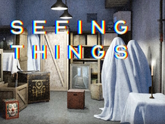 Παιχνίδι Seeing Things