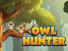 Παιχνίδι Owl Hunter