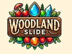 Παιχνίδι Woodland Slide