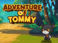 Παιχνίδι Advanture Of Tommy