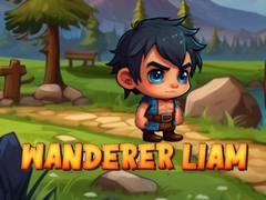 Παιχνίδι Wanderer Liam