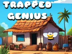 Παιχνίδι Trapped Genius