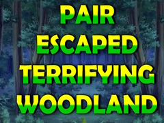 Παιχνίδι Pair Escaped Terrifying Woodland