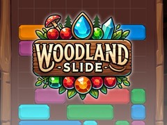 Παιχνίδι Woodland Slide