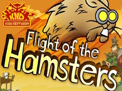 Παιχνίδι Codename Kids Next Door Flight of the Hamsters