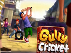 Παιχνίδι Gully Cricket