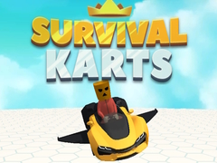 Παιχνίδι Survival Karts