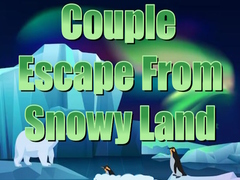 Παιχνίδι Couple Escape from Snowy Land