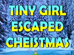 Παιχνίδι Tiny Girl Escaped Christmas Island