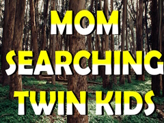 Παιχνίδι Mom Searching Twin Kids