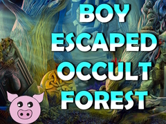 Παιχνίδι Boy Escaped Occult Forest