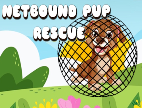 Netbound PUP Rescue .