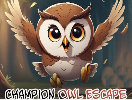 Πρωταθλητής Owl Escape .
