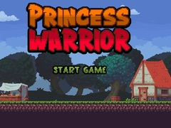 Παιχνίδι Princess Warrior