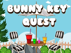 Παιχνίδι Bunny Key Quest