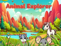 Παιχνίδι Animal Explorer 