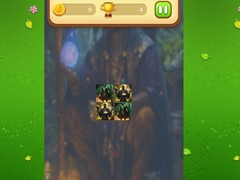 Παιχνίδι Magic Druid Memory Match