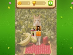 Παιχνίδι Farm Cat Memory Match
