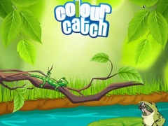 Παιχνίδι Colour Catch